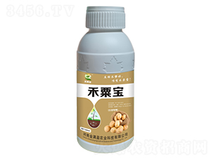 ����������-���ڌ�-��Mӯ