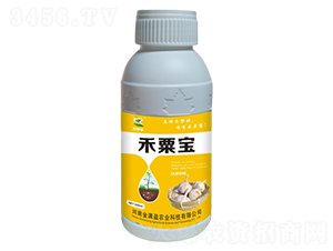 ���⽡����-���ڌ�-��Mӯ