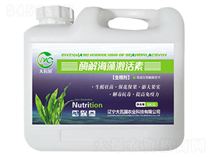 ø�⺣�弤����-���߇��r�I(y��)