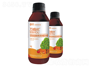 ȫ���ո����Һ�w����-�fķ��(y��u)-��������