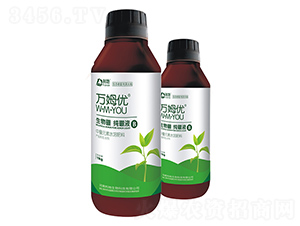 ��������Һ-�fķ��(y��u)-��������