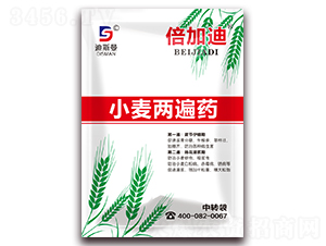 С���ɱ�ˎ-���ӵ�-��˹��