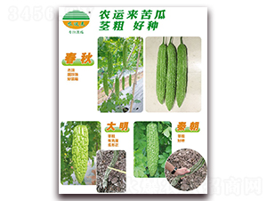 ����+����+�س�-��ϷN��-�r(n��ng)�\(y��n)��(l��i)