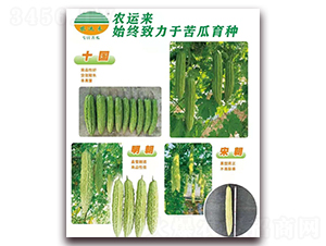 ʮ��+����+�γ�-��ϷN��-�r(n��ng)�\(y��n)��