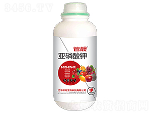 �������0-525-275+TE-���n-�ͺ�����