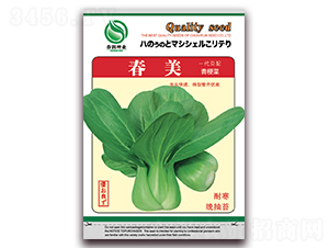 ����-�๣�˷N��-�����N�I(y��)