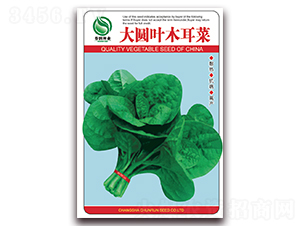 ��A�~ľ���˷N��-�����N�I(y��)