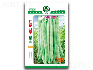 �t�����v�ļ����N��-�����N�I(y��)