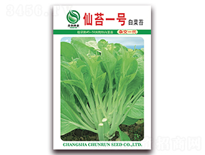 �ɼt��̖(h��o)-��޷�N��-����(r��n)�N�I(y��)