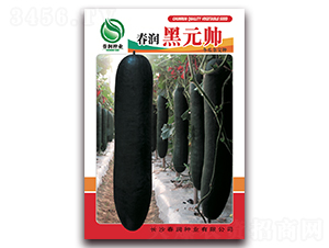 ����(r��n)��Ԫ��-���ϷN��-����(r��n)�N�I(y��)