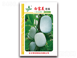 �׸�������-���ϷN��-����(r��n)�N�I(y��)