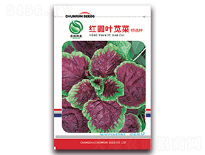 �t�A�~�{��-�{�˷N��-����(r��n)�N�I(y��)