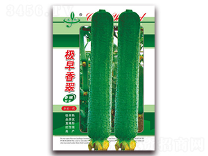 �O�����-�z�ϷN��-����(r��n)�N�I(y��)