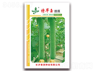 ������-�z�ϷN��-����(r��n)�N�I(y��)