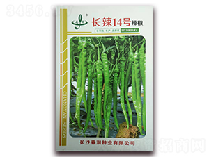 �L(zh��ng)��14̖(h��o)-�����N��-����(r��n)�N�I(y��)