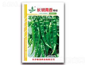 �L(zh��ng)������-�����N��-����(r��n)�N�I(y��)