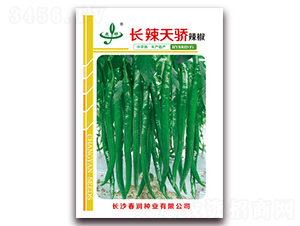 �L(zh��ng)�����-�����N��-����(r��n)�N�I(y��)