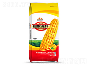 ���׌��Ï�(f��)�����-�Ʒ����h(hu��n)-��ɭ�ʘI(y��)