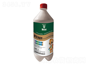 �FƤʯ��΢�������-����