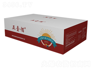 �Ҹ��ʹ���Ԫ��ˮ�ܷ���100-80-320+TE-��Ҽ��