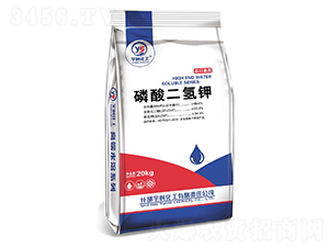 20kg��������-��r����