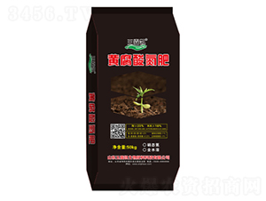 �S���ᵪ��-���؄P