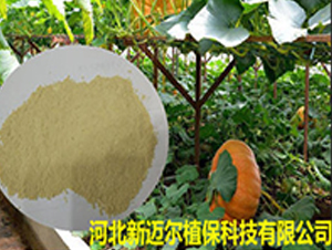 �~�����-���~��