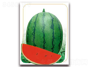 ���t-���ϷN��-����(y��u)�r(n��ng)�I(y��)