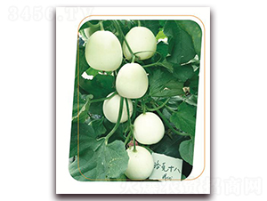 ���18-��ϷN��-����(y��u)�r(n��ng)�I(y��)