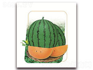 ������-���ϷN��-����(y��u)�r(n��ng)�I(y��)