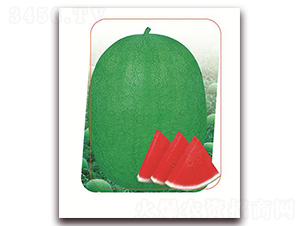 ����-���ϷN��-����(y��u)�r(n��ng)�I(y��)