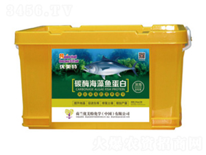 ̼ø�����~(y��)����-��(y��u)����-����r(n��ng)�I(y��)