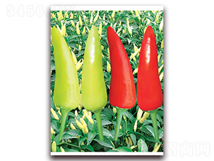 ����С��-���콷�N��-(li��n)�S�N�I(y��)