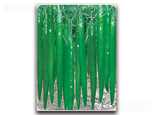 ���S��̖(h��o)-�����N��-(li��n)�S�N�I(y��)