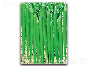 ���S��̖(h��o)-�����N��-(li��n)�S�N�I(y��)