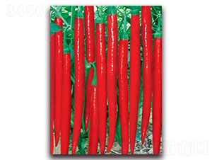 �OƷ���S��̖(h��o)-�����N��-(li��n)�S�N�I(y��)