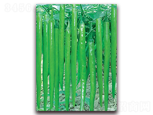 �L(zh��ng)��һ̖(h��o)-�����N��-(li��n)�S�N�I(y��)