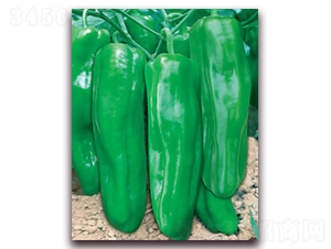 ��һ��908A-�ݽ��N��-(li��n)�S�N�I(y��)