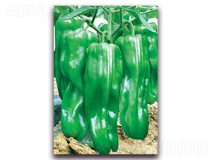 ��һ����Ƥ��-�ݽ��N��-(li��n)�S�N�I(y��)