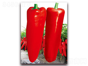 �ĝM�t-�ݽ��N��-(li��n)�S�N�I(y��)