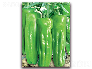 (li��n)�S�r(sh��)��-�ݽ��N��-(li��n)�S�N�I(y��)