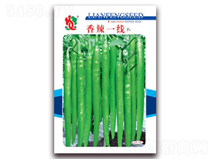 ����һ��-�⽷�N��-(li��n)�S�N�I(y��)