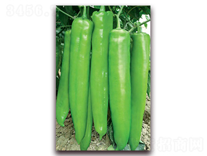 ���M���A-�⽷�N��-(li��n)�S�N�I(y��)