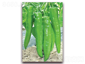 �\������-�⽷�N��-(li��n)�S�N�I(y��)