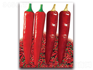 �������-�⽷�N��-(li��n)�S�N�I(y��)