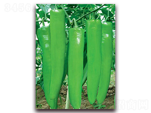 �_(t��i)��һ̖(h��o)-�⽷�N��-(li��n)�S�N�I(y��)