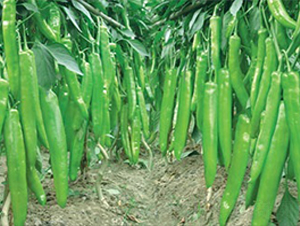 ����һ̖(h��o)-�⽷�N��-(li��n)�S�N�I(y��)