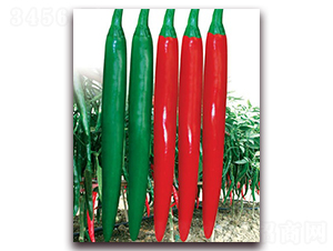 ��(y��u)����-�⽷�N��-(li��n)�S�N�I(y��)