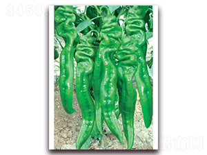 ���S�a(ch��n)����һ̖(h��o)-�ݽz���N��-(li��n)�S�N�I(y��)