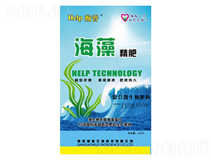 ���徫��-���-����